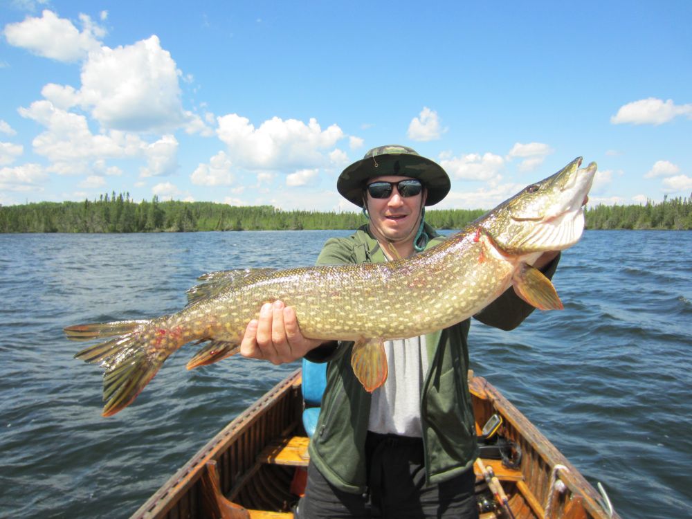 pike fishing potential explosive cast every